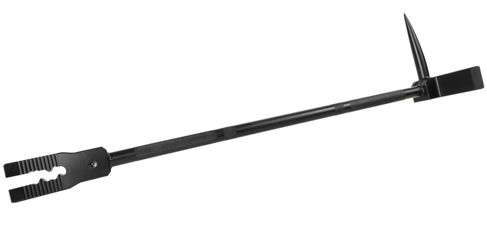 Esty Breaching // Betsy Bar